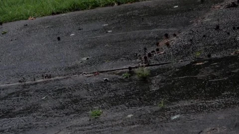 Rain flowing downhill a driveway from gutter during the latter half of storm Video stock 339100987
