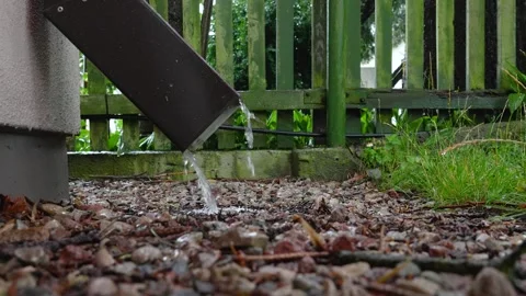 Rain flowing into the rocks at the end of summer Stock Footage 260366837