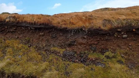 The rain is flowing through the peat during the storm Stock Footage 98831320