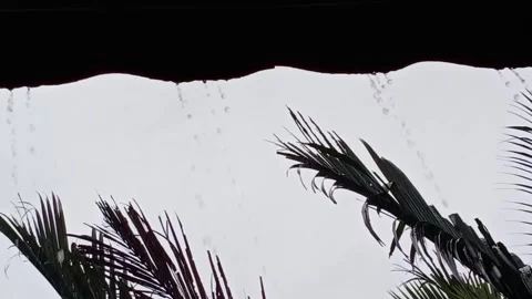Rain flows and raindrops falling from roof canopy. Thunderstorm 스톡 동영상 255489630