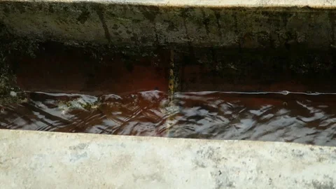 Rain flows in concrete gutter Stock Footage 111498509