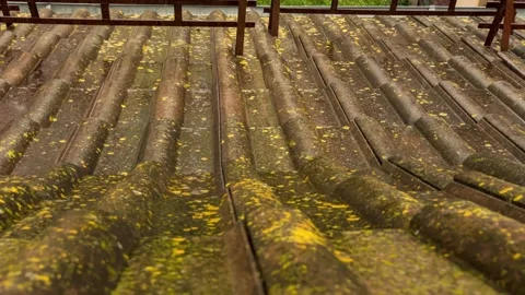 Rain flows down on a roof Stock Footage 242999282