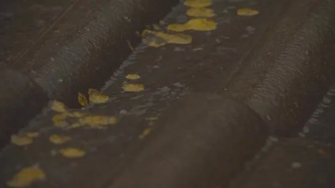 Rain flows down on a roof Stock-Footage 245478394