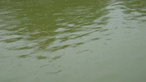 The rain flows in the water of a canal in Beijing, in China Stock Footage 231671755