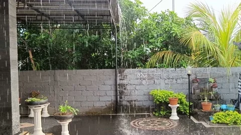 The rain that flushed the yard in the afternoon Stock Footage 231214833