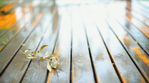 Rain Stock Footage 474849