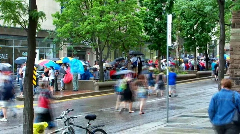 Rain Stock Footage 477036