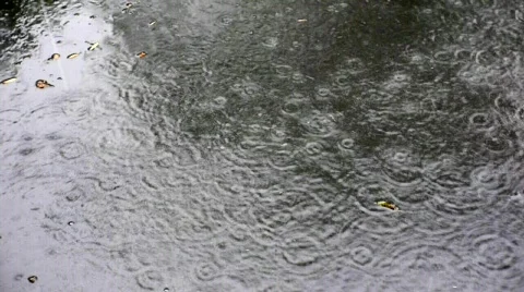 Rain. Stock Footage 534349