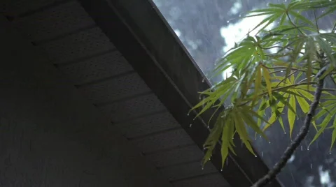 Rain Stock Footage 661582