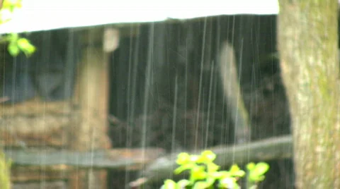 Rain Stock Footage 664703