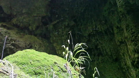 Rain Stock Footage 885657