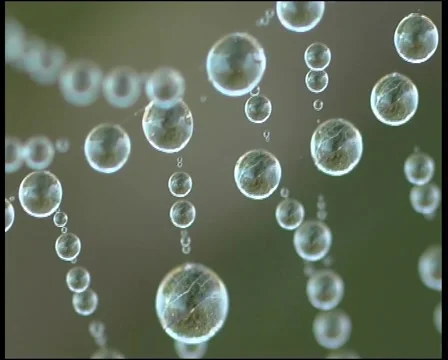 Rain Видео 943997