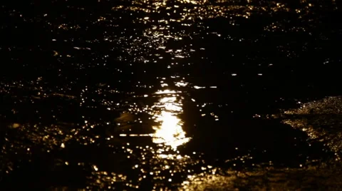 Rain Stock Footage 959894