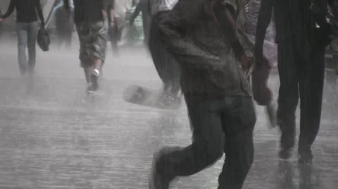 Rain Video stock 2533752