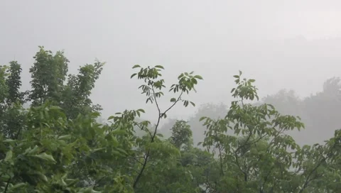 Rain Stock-Footage 6515006