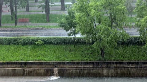 Rain Stock Footage 11205882