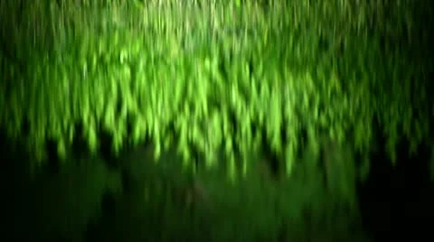 Rain Stock Footage 11522116