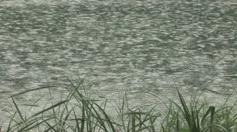 Rain Vidéo 11717019