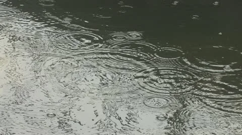 Rain 스톡 동영상 11720114