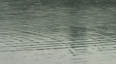 Rain Stockbeeldmateriaal 11721032