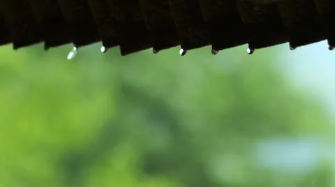 Rain Stock-Footage 11892937