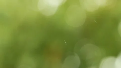 Rain Video stock 12049854