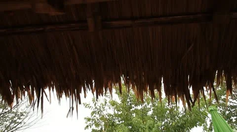 Rain Video stock 12120305