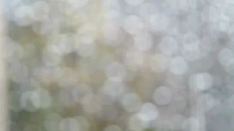 Rain Stock Footage 12176990