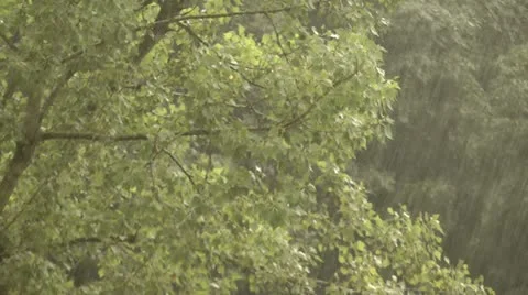 Rain Stock Footage 18182141