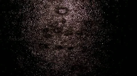 Rain Stock Footage 22050262