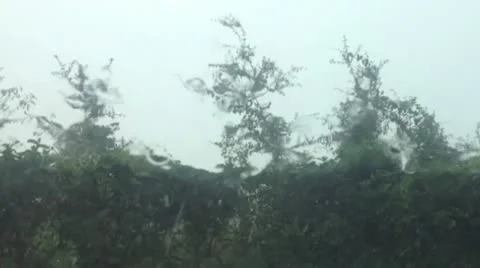 Rain Stock Footage 22331697