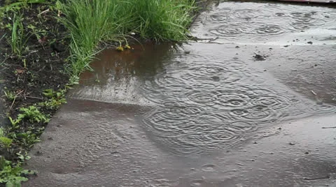 Rain Stock Footage 24375264