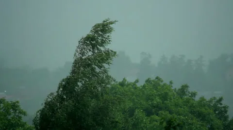 Rain Stock Footage 24728332