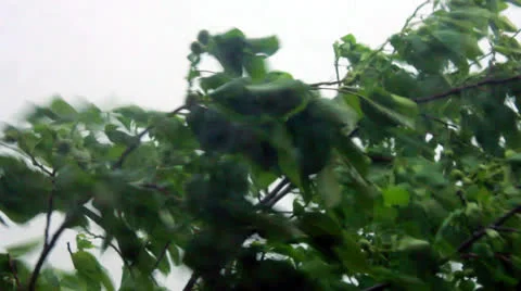 Rain Stock Footage 24728357