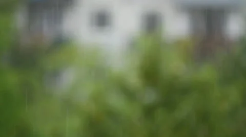 Rain Stock Footage 25841291