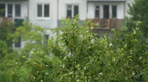 Rain Video stock 25841500