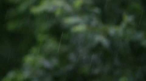 Rain Stock Footage 25841670