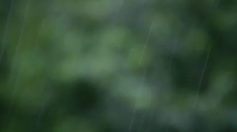 Rain Stock Footage 25843839
