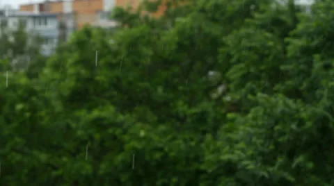 Rain Stock Footage 25844930