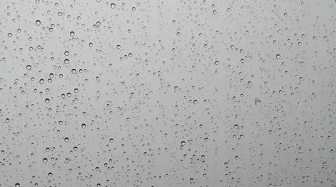 Rain 스톡 동영상 29197381