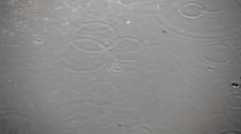 Rain Stock Footage 29658655