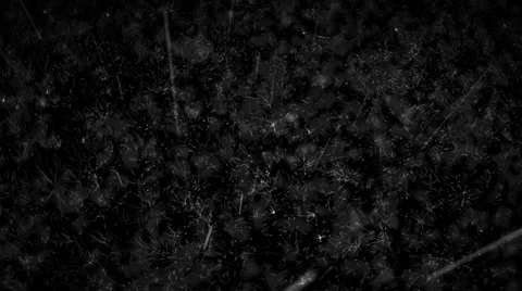 Rain Stock Footage 34334264