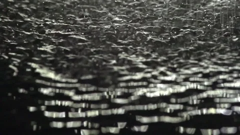 Rain Stock Footage 70608204