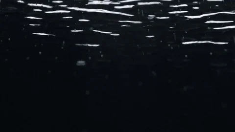 Rain Stock Footage 70612424