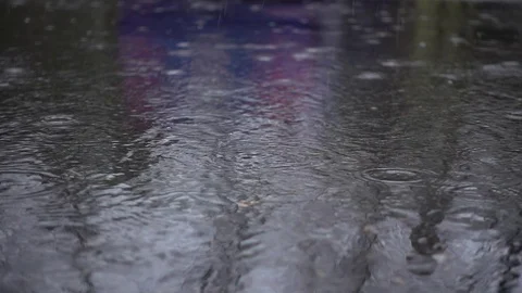 Rain 库存影片 74139421