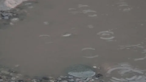 Rain Stock Footage 74645791