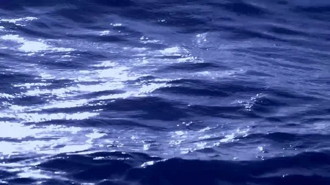 Rain Stock Footage 76254614