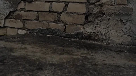 Rain Stock Footage 77537753