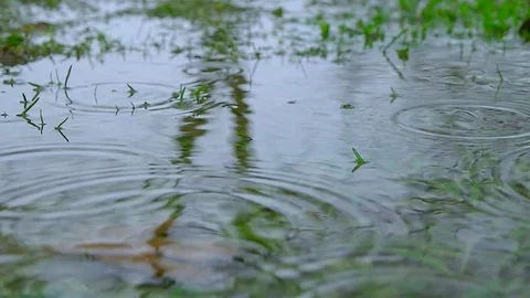 Rain Video stock 77539647