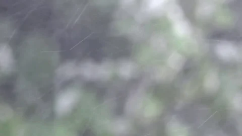 Rain Stock Footage 79005887